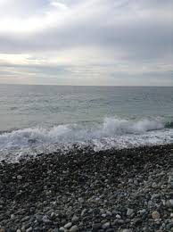Discover short videos related to сочи море on tiktok. Na Beregu Morya Izobrazhenie Sochi Park Otel Adler Tripadvisor