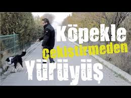 Kopeginizi Gunde Kac Kez Ve Ne Kadar Gezdirmelisiniz Youtube