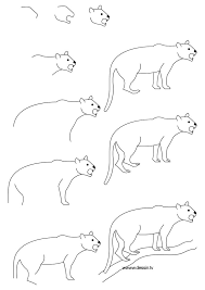 The congressional representatives of each state choose the animal (often. Drawing Animals Zoo Drawing For Kids Novocom Top