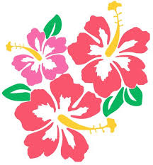 Pin On Cricut Designs
