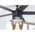 Black Ceiling Fan No Light