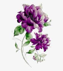 Real old pink purple flower crown png. Purple Flowers Png Photo Purple And Yellow Flowers Background Transparent Png 510x906 Free Download On Nicepng