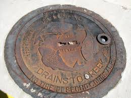 Drains To Creek Easy To Overlook But This Storm Drain Cover Is Both Artful And Effective Drain Cover Drains Metal Working