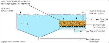 Koi Ponds And Filters Koi Pond Pond Pond Filters