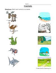 Matching Animal Habitats Worksheet Animal Habitats Animal Worksheets Habitats