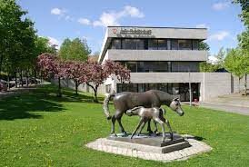 Den grenser til vestby, frogn og nordre follo, og har navn etter kommunesenteret ås. Debatt As Kommune As Kommune Umyndiggjort
