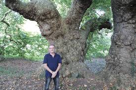 C'est le public qui l'a désigné comme étant le plus beau de l'année 2020. Le Plus Bel Arbre De France Est Peut Etre A La Bresteche Kernews