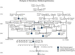 Pedigree Of Methemoglobinemia Pedigree Information Graciously Provided By Mary D Fugate Publisher Of The Fugate Life Science Classroom Kentucky Life Science