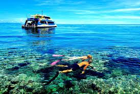 Enjoy lakshadweep trip through beaches, beautiful marine life, and swaying palm trees. 5 Things To Do In Lakshadweep Go Road Trip