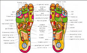 Symbolic Podiatry Chart 2019