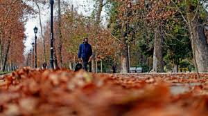 Estas son las mejores opciones donde se. Empezo El Otono 2021 Mira Por Que Se Adelanto