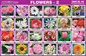 S P E C T R U M Spectrum Charts Flower Names Flowers Cards