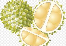 Menakjubkan 20 Gambar Durian Animasi Png 100 Gratis Tanpa Dikenakan Biaya Klik Pada Gambar Thumbail Untuk Mengunduh Gambar Ukuran Gambar Png Wallpaper Keren