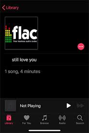 Or, you might have a collection of older cds that you would like to convert into a more modern format. How To Transfer Play Flac On Iphone Ios 13