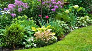 04:25 thym 05:12 thym commun de provence 05:14 thym citron 05:16 thym de grèce 05:20 thym. Plantes D Exterieur Fleurs Bambous Rosiers Truffaut