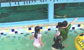 Wahana Promo Harga Tiket Masuk The Jungle Bogor 2020