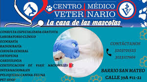 Centro Médico Veterinario La Casa De Las Mascotas