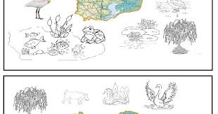 Odata ce ai patruns in inima naturii este greu sa te lasi plecat si cu siguranta te. La LecÈia In Care Vom Discuta Despre DeltÄ Vom Incerca ImpreunÄ SÄ Descoperim Minunata Lume A Plantelor Èi Animalelor Din Delta DunÄrii La Crafts Art Map