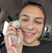 Is a high protein dog diet too much?