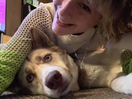 Lost dog found in Greenbrier, Tennessee