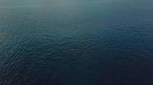 Check spelling or type a new query. Bird Eye View On Calm Blue Ocean And Coa Stock Video Pond5