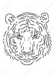 Direkt am 1.1.16 habe ich meine artikelreihe: Tiger Zeichnen In Weissen Hintergrund Lizenzfrei Nutzbare Vektorgrafiken Clip Arts Illustrationen Image 6281825