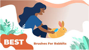 Maybe you would like to learn more about one of these? The 6 Best Grooming Brushes For Rabbits 2021 We Re All About Pets