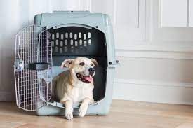 Malaysia's friendliest online pet store with variety of dog and cat food brands, toys, accessories and much more! Pet Express Sri Lanka Pet Transport Shipping Pet Travel Experts
