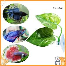 For example, if they are extremely stressed or feel when you first get your betta fish, expect them to be skittish and prone to hiding for the first few days to a few weeks. Vip Artificial Plant Leaf Betta Hammock Fish Tank Spawning Rest Bed Aquariums Decor Shopee Malaysia