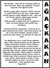 Bu Hayvanlar Bir Alem Agackakan Hayvanlarla Ilgili Cocuklara Ozel Bilgi S Hayvanlar Okuma Calismasi Ve Egitim