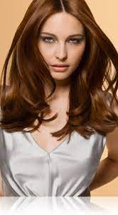John Frieda Light Amber Brown Color Light Hair Color Brunette Hair Color Light Ash Brown Hair