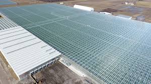 Nature Fresh Phase 6 Greenhouse Project Sef