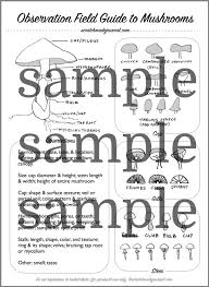 Identifying Mushrooms Plus A Field Guide Printable
