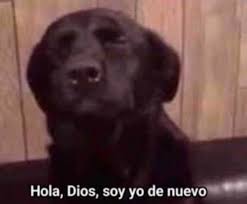Hola Dios Soy Yo De Nuevo En 2020 Memes Graciosos Para Whatsapp Imagenes Para Memes Memes Para Comentarios