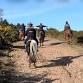 Advanced Budleigh Salterton Ride event image