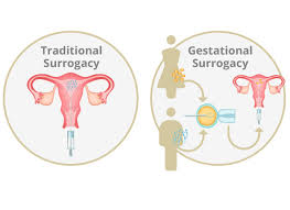 Whether you are hopeful parents or a prospective surrogate, compare the pros and cons of surrogacy here. Best Surrogacy Clinic In Noida Ghaziabad Indirapuram Surrogacy Specialists Doctors