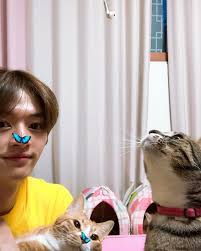 Although most notable for personifying bloodsucking vampire, dracula, on screen, he portrayed other varied characters on screen, most of which were villains, whether it be francisco scaramanga in the. Stray Kids Global On Twitter Stray Kids Lee Know Cats Crazy Kids
