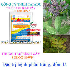Sulox 80WP