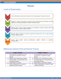 What makes a plant cell different from an animal cell? Tissues Flip Ebook Pages 1 10 Anyflip Anyflip
