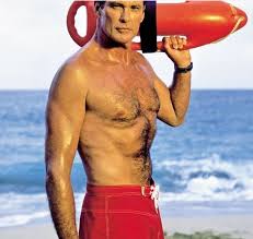 Image result for hasselhoff
