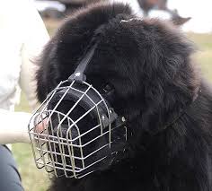 Newfoundland Wire Basket Dog Muzzles Size Chart