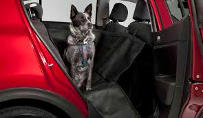Coffee machine reviews 2020 kia rio accessories for cars. Kia Rio Genuine Accessories Kia Australia