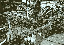Return of the obra dinn. Soldiers Of The Sea Part 4 Return Of The Obra Dinn Wiki Fandom Soldier Sea Monsters Nebula Awards