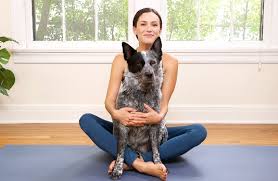 Yoga with adriene vor year +778. Yoga Adrienne Morning Yoga For You