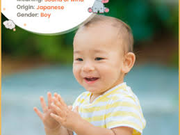 Castle Name Meaning, Origin, History, And Popularity