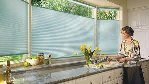 Blackout, cordless, top down bottom up, motorized, door blinds Blinds Vs Shades Which Window Treatment Is Right For You
