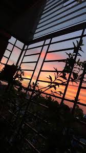 | pluspng, free portable network graphics (png) archive. Aesthetic Sunset Wallpaper Iphone 564x1002 Wallpaper Teahub Io