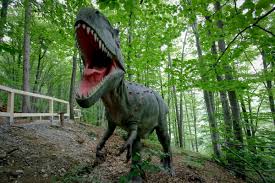 All scores of the played games, home and away stats, standings table. Dino Parc Din Rasnov