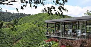 Book the best cameron highlands hotels on tripadvisor: 10 Budget Hotels And Accommodation In Cameron Highlands For A Long Weekend Trip Klook Travel Blog