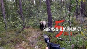 High drama on the cobbled streets of weatherfield in the world's longest running tv soap. Swedish Bear Hunt No 5 Part 1 Bearplay Tv